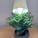 Deluxe Center *
